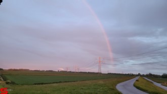 [Dier en Natuur] :: Wantijdijk 24 mei 2021 (7)