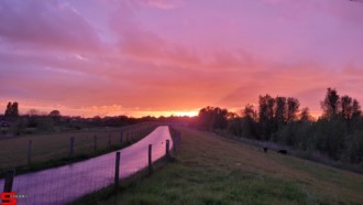 [Dier en Natuur] :: Wantijdijk 24 mei 2021 (8)