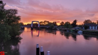 [Dier en Natuur] :: Wantijdijk 24 mei 2021 (9)