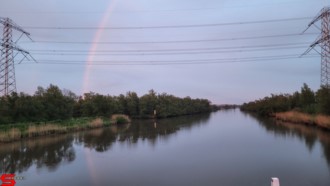 [Dier en Natuur] :: Wantijdijk 24 mei 2021 (11)