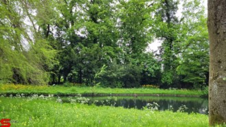 [Dier en Natuur] :: Weizigtpark 27 mei 2021 (4)