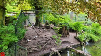 [Dier en Natuur] :: Weizigtpark 27 mei 2021 (6)