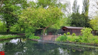 [Dier en Natuur] :: Weizigtpark 27 mei 2021 (7)