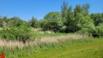 [Dier en Natuur] :: Rondje Dordt 30 mei 2021 (13)