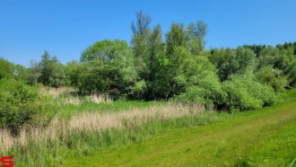 [Dier en Natuur] :: Rondje Dordt 30 mei 2021 (14)