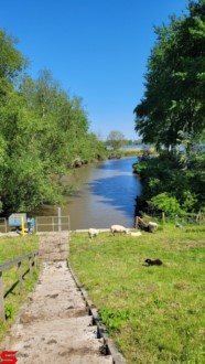 [Dier en Natuur] :: Rondje Dordt 30 mei 2021 (19)