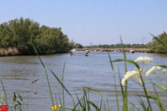 [Dier en Natuur] :: Rondje Dordt 30 mei 2021 (13)