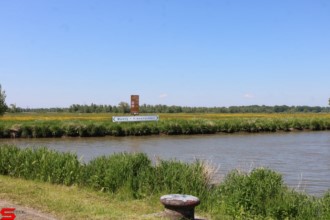 [Dier en Natuur] :: Rondje Dordt 30 mei 2021 (5)