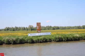 [Dier en Natuur] :: Rondje Dordt 30 mei 2021 (7)