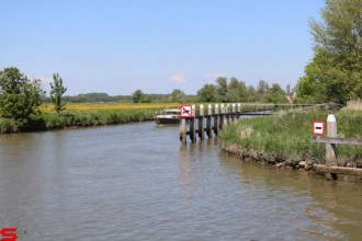[Dier en Natuur] :: Rondje Dordt 30 mei 2021 (8)