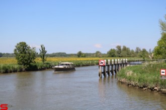 [Dier en Natuur] :: Rondje Dordt 30 mei 2021 (9)