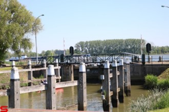 [Dier en Natuur] :: Rondje Dordt 30 mei 2021 (10)