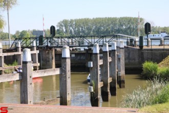 [Dier en Natuur] :: Rondje Dordt 30 mei 2021 (11)