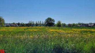 [Dier en Natuur] :: Rondje Dordt 1 juni 2021 (17)