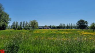 [Dier en Natuur] :: Rondje Dordt 1 juni 2021 (19)