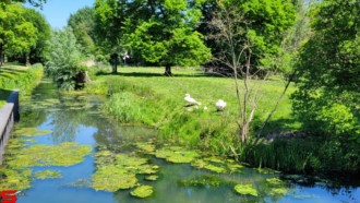 [Dier en Natuur] :: Rondje Dordt 1 juni 2021 (7)