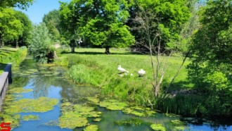 [Dier en Natuur] :: Rondje Dordt 1 juni 2021 (8)