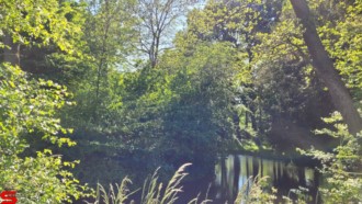 [Dier en Natuur] :: Rondje Dordt 1 juni 2021 (10)
