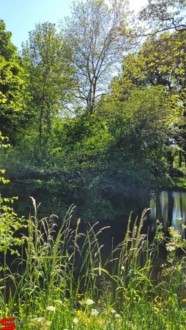 [Dier en Natuur] :: Rondje Dordt 1 juni 2021 (11)