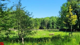 [Dier en Natuur] :: Rondje Dordt 1 juni 2021 (12)