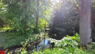 [Dier en Natuur] :: Rondje Dordt 1 juni 2021 (5)