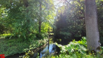 [Dier en Natuur] :: Rondje Dordt 1 juni 2021 (6)