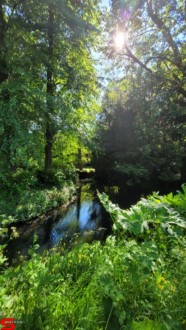 [Dier en Natuur] :: Rondje Dordt 1 juni 2021 (7)
