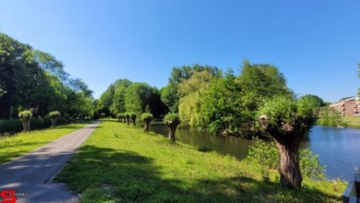 [Dier en Natuur] :: Rondje Dordt 1 juni 2021 (8)