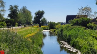 [Dier en Natuur] :: Rondje Dordt 1 juni 2021 (10)