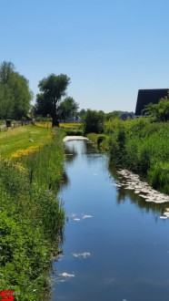 [Dier en Natuur] :: Rondje Dordt 1 juni 2021 (11)