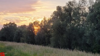 [Dier en Natuur] :: Wantijdijk 2 juni 2021 (3)