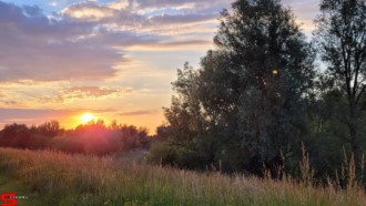 [Dier en Natuur] :: Wantijdijk 2 juni 2021 (4)