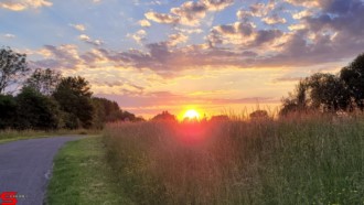 [Dier en Natuur] :: Wantijdijk 2 juni 2021 (6)