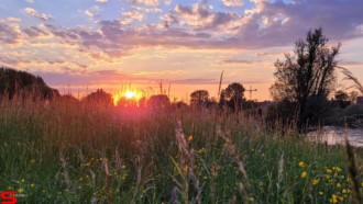 [Dier en Natuur] :: Wantijdijk 2 juni 2021 (7)