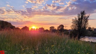 [Dier en Natuur] :: Wantijdijk 2 juni 2021 (8)