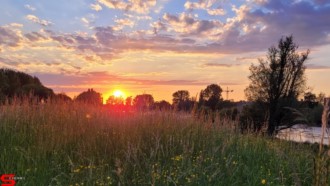 [Dier en Natuur] :: Wantijdijk 2 juni 2021 (9)