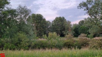 [Dier en Natuur] :: Wantijdijk 2 juni 2021 (15)