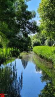 [Dier en Natuur] :: Klein rondje Dordt 6 juni 2021 (4)