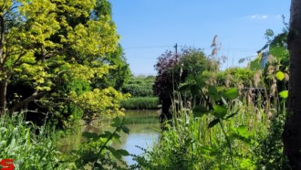 [Dier en Natuur] :: Klein rondje Dordt 6 juni 2021 (6)