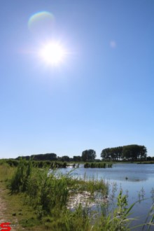 [Dier en Natuur] :: De nieuwe Dordtse Biesbosch (16)