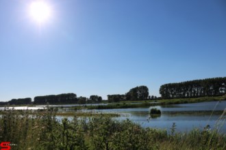 [Dier en Natuur] :: De nieuwe Dordtse Biesbosch (19)
