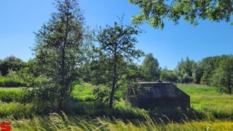 [Dier en Natuur] :: Rondje Dordt 5 juni 2021 (4)