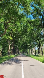 [Dier en Natuur] :: Rondje Dordt 5 juni 2021 (8)