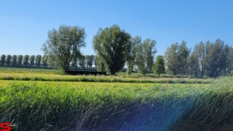 [Dier en Natuur] :: Rondje Dordt 5 juni 2021 (10)