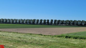 [Dier en Natuur] :: Rondje Dordt 5 juni 2021 (12)