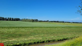 [Dier en Natuur] :: Rondje Dordt 5 juni 2021 (15)