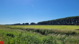 [Dier en Natuur] :: Rondje Dordt 5 juni 2021 (16)