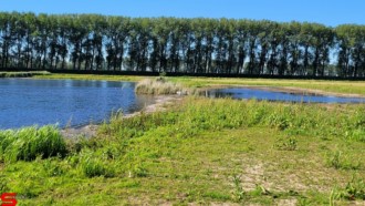 [Dier en Natuur] :: Rondje Dordt 5 juni 2021 (17)