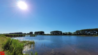 [Dier en Natuur] :: Rondje Dordt 5 juni 2021 (18)