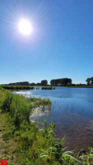 [Dier en Natuur] :: Rondje Dordt 5 juni 2021 (4)